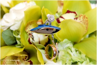 blueyeimages_janszen_prev001_web