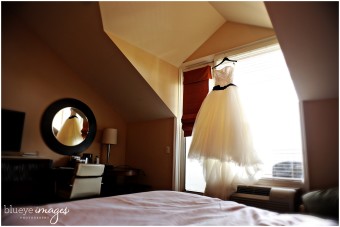 blueyeimages_janszen_prev002_web